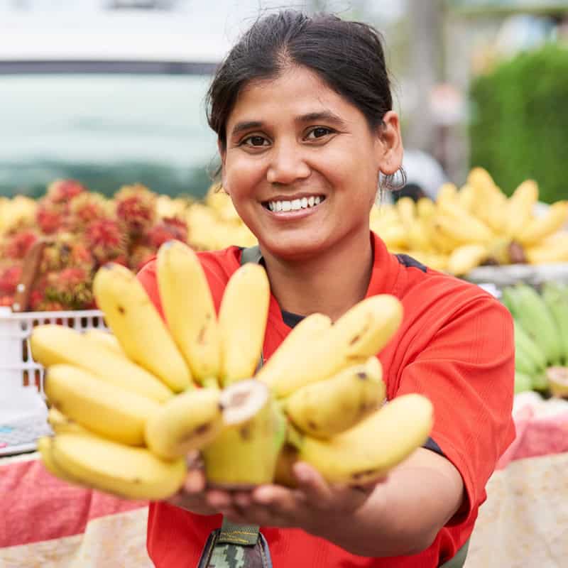 Colorful display of ripe bananas at Odie Landscaping vendor stall. Perfect for outdoor markets and landscaping events.