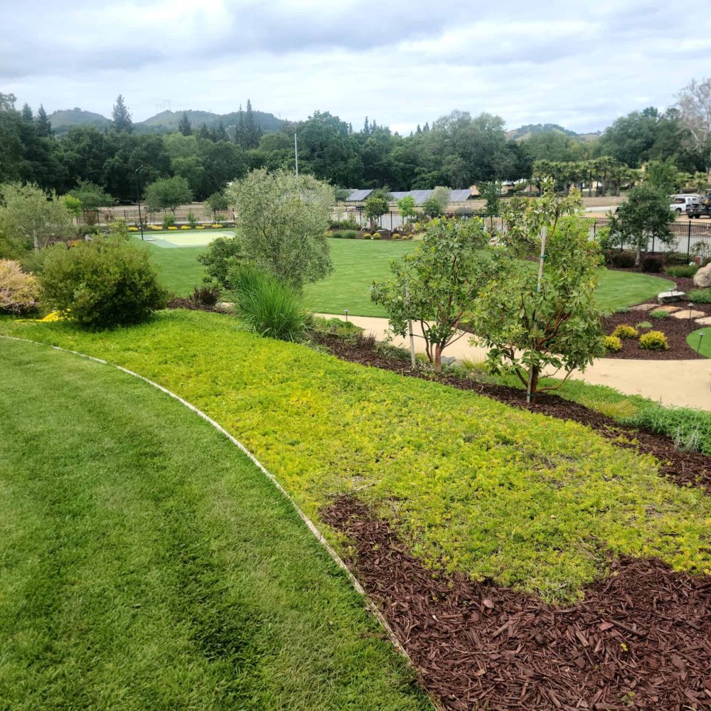 Landscape design with trees, bushes, and vibrant lawn emphasizing quality outdoor landscaping.
