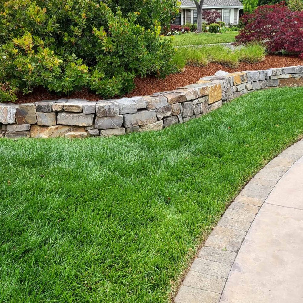 Bright and colorful garden landscape featuring stone retaining wall and greenery.