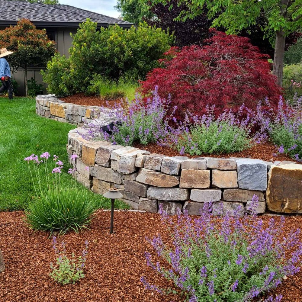Beautiful landscaped garden featuring ornamental plants, stone walls, and vibrant flowers.